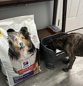 Hill’s Science Diet Sensitive Stomach & Skin Adult Dog Food