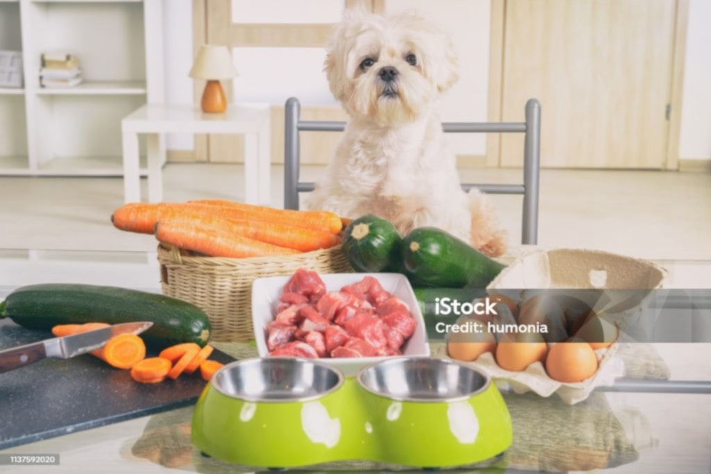 Bowl of USDA-certified organic dog food with vegetables and kibble
