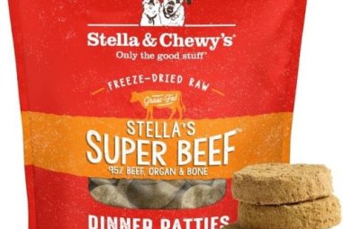 Stella & Chewy’s vs Traditional Dry Dog Food: Honest Review