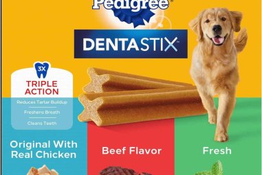 Pedigree Dentastix Large Breed Dog Treats Review