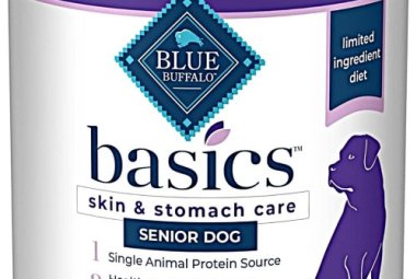 Best Wet Dog Food for Senior Dogs – My Honest Review