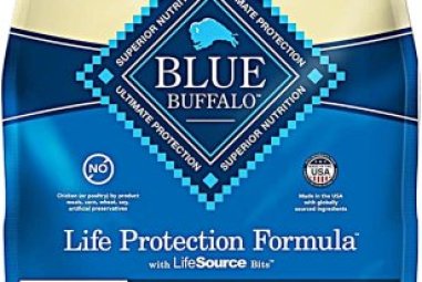Blue Buffalo Life Protection Formula Dog Food Review