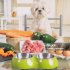5 Best Dog Foods for Skin Allergies Recommended by Vet-